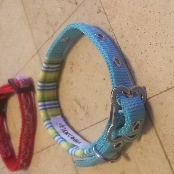 Dog Collars size Medium NEW No Tags - Picture 6 of 6